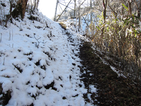 20191129hike (446)